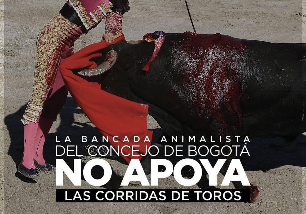 Ilustración con un texto que dice: la bancada animalista del concejo de Bogotá no apoya las corridas de toro