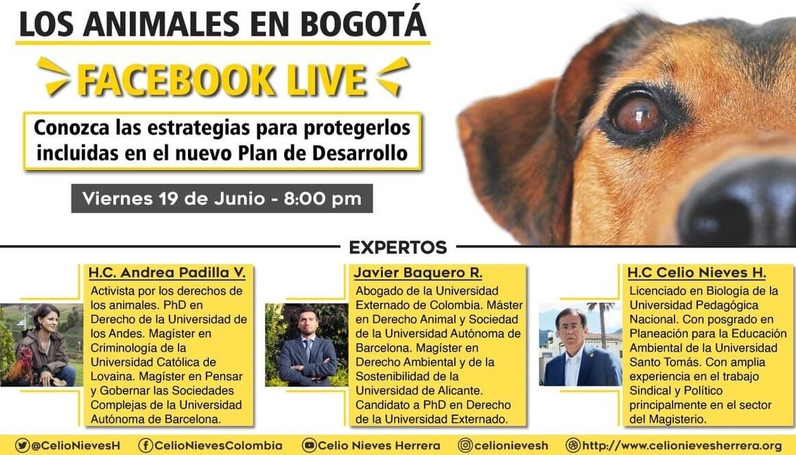 Ilustración animales en Bogotá Facebook Live