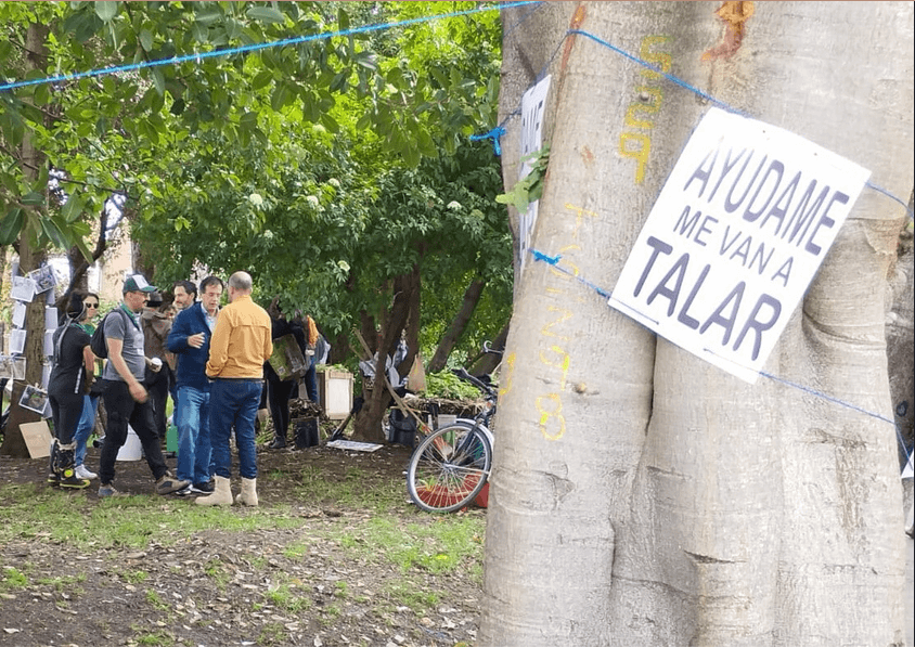 Tronco de árbol en primer plano con letrero que dice Ayúdame me vana talar, al fondo el concejal Celio Nieves junto a la comunidad